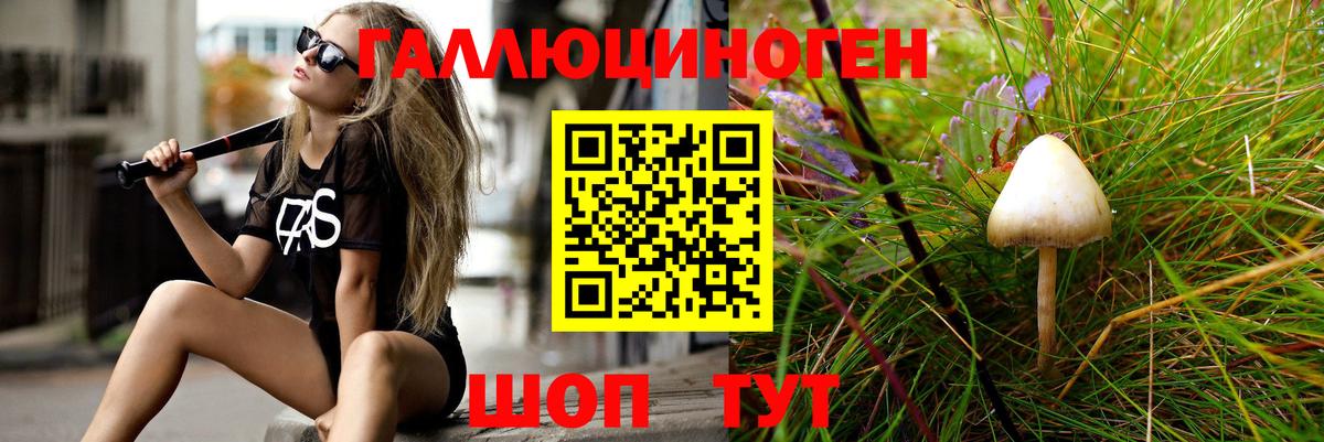 Тосно  Галлюциногенные грибы Psilocybine cubensis  Вход с VPN 